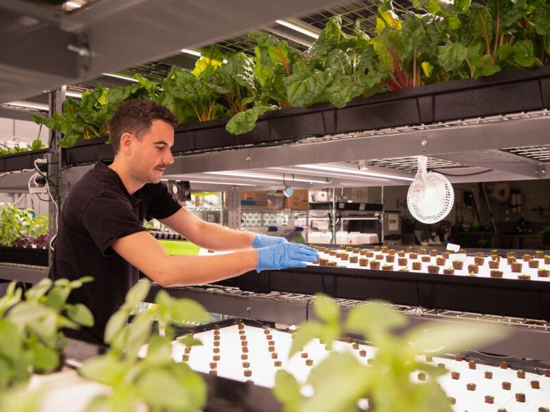 Matthew Horgan works with soil in a greenhouse