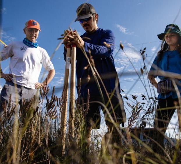 A student and a professor watch as a student between them digs and takes a soil sample during a field research trip