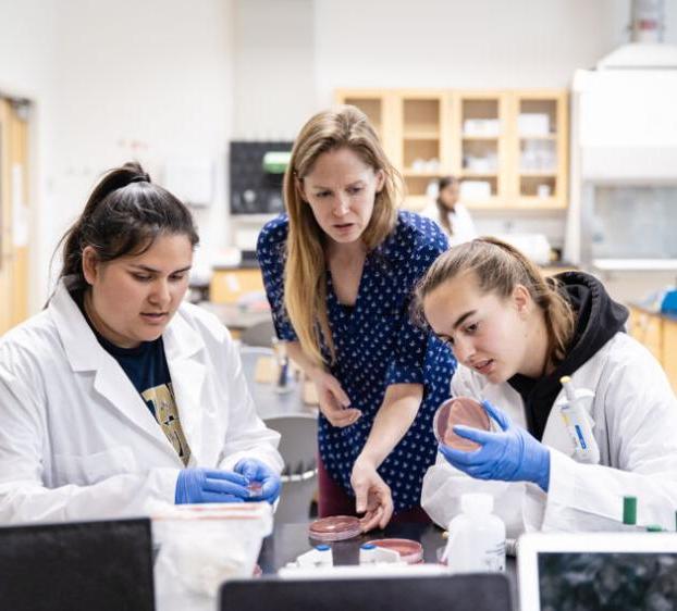 A professor of biological sciences works with St. 爱德华的学生在实验室里