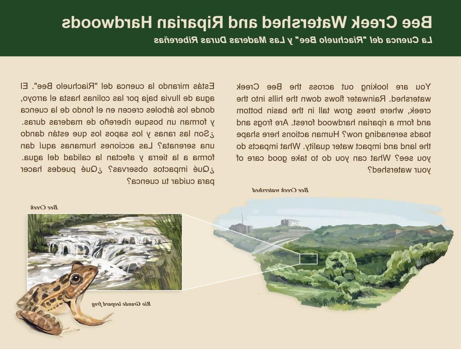 A card describing Bee Creek Watershed and Riparian Hardwoods